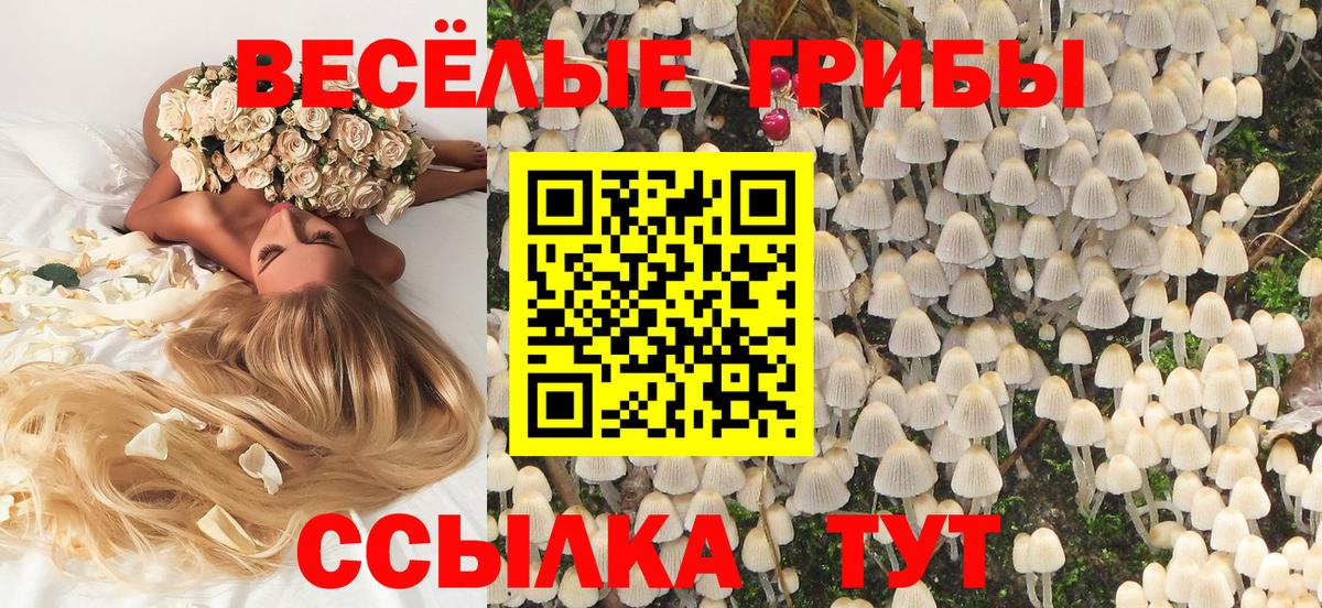 Псилоцибиновые грибы Magic Shrooms Балабаново